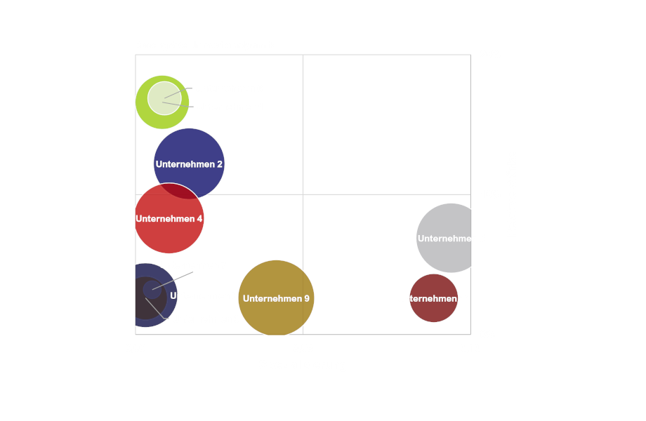 Unternehmensportfolios